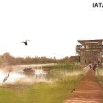 Museum on the wetland By Ana Olalla Melián - Sheet2