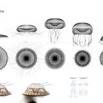 JELLY WATCH By Marie-Orit Theuer - Sheet3