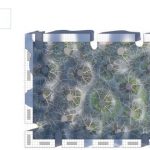 Bubbles Healthy Living in the City By Orproject - Sheet3