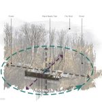 Redefining Preservation: Farnsworth's Past, Present, and Future By Daniela, Diana, Julianne, Yaneli - Sheet1