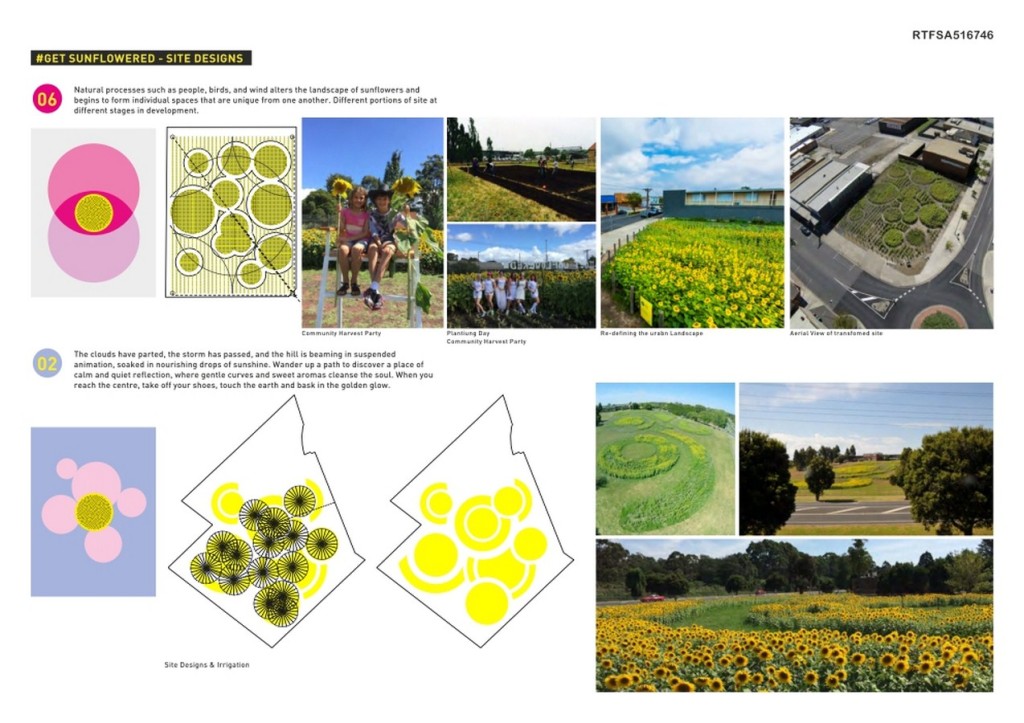 #Get Sunflowered By OUTR Research Lab