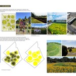 #Get Sunflowered by OUTR Research Lab-Sheet4