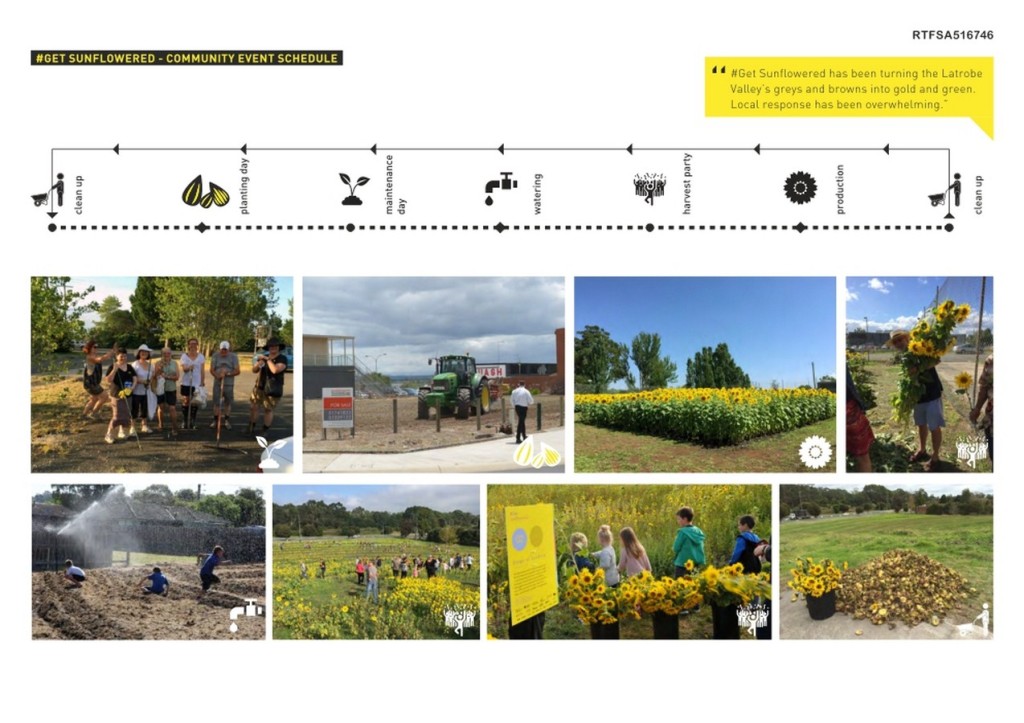 #Get Sunflowered By OUTR Research Lab