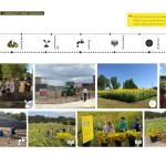#Get Sunflowered by OUTR Research Lab-Sheet3