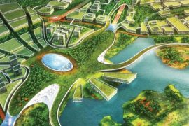 Organic Highway | Avoid Obvious Architects
