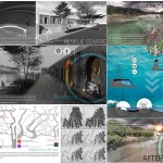 Resilience of the Sinking Half By Siddarth PT
