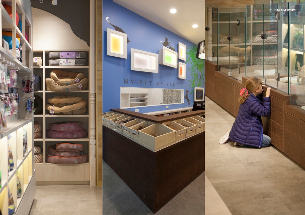 Pampered Petz By Rptecture Architects