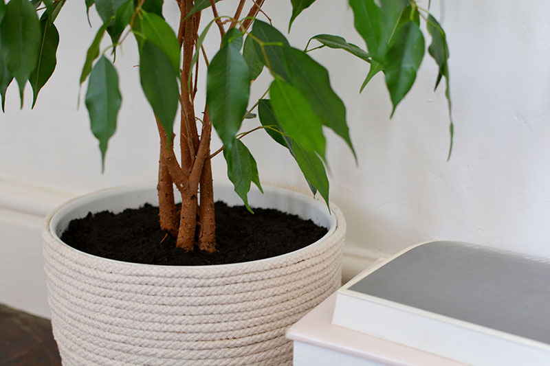 Beautiful and Stylish Rope Projects - Rope Planter