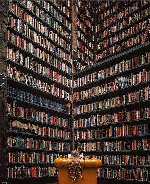 A View of The Stony Island Arts Bank Chicago - Sheet1