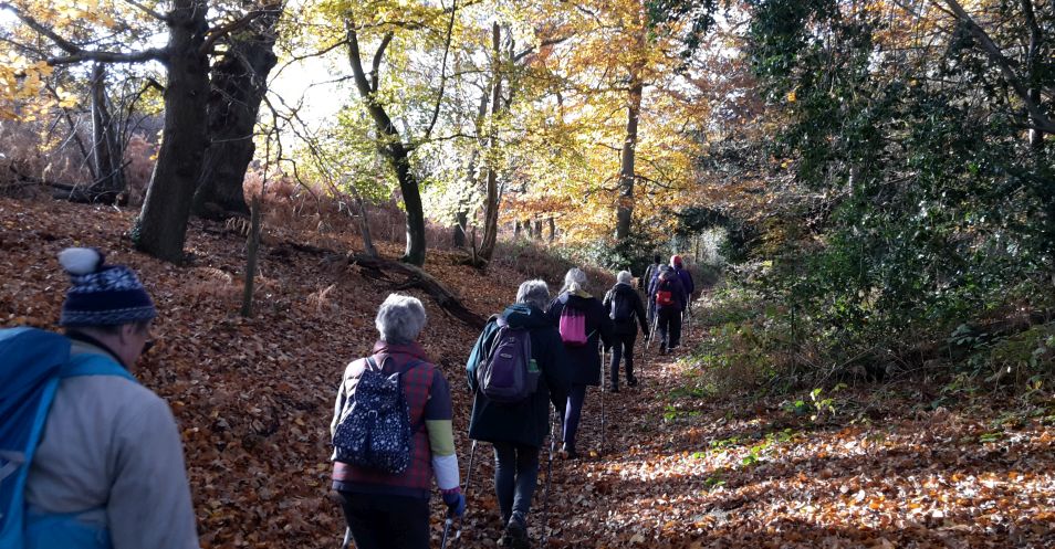 5 Mind Refreshing Activities For Architects - Walk and Explore