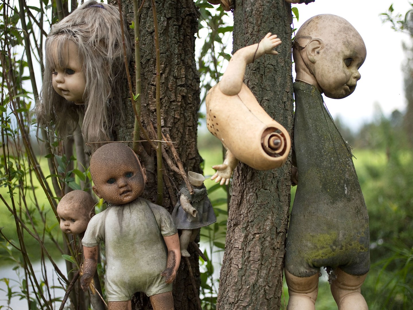 20 Architectural Scariest Places In The World - The Island of the Dolls Xochimilco Mexico City Mexico