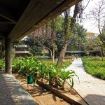 Mirambika Institute, New Delhi by Sanjay Prakash By Shift - Sheet17