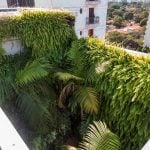 Jardim Paulistano Penthouse By Gabriella Ornaghi Arquitetura da Paisagem - Sheet2