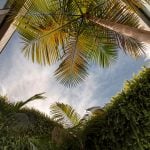 Jardim Paulistano Penthouse By Gabriella Ornaghi Arquitetura da Paisagem - Sheet9