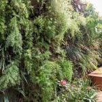 Jardim Paulistano Penthouse By Gabriella Ornaghi Arquitetura da Paisagem - Sheet8