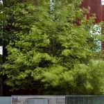 Rusty House By OK PLAN ARCHITECTS - Sheet8