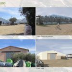 Floriculture By Scannella Architects - Sheet3