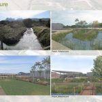 Floriculture By Scannella Architects - Sheet2