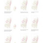 Blurred Borders by Oussama Garti - Sheet3