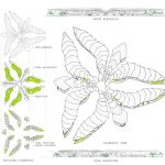 Evoke by Dhruv Kohli - Sheet6