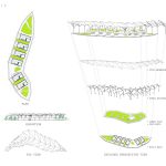 Evoke by Dhruv Kohli - Sheet7