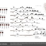 From gold to pearl by Yu PU & Lan LUO - Sheet11