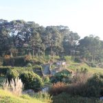 Real Park,Oporto' by Sora Costa - Sheet3