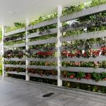 Tiberwal's Residence By HP Lakhani Associates - Sheet2