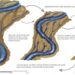 ADAPTING WATERS by Emily Scott - Sheet4