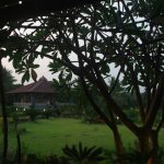 S Farm At Wada By Design Inc - Sheet1