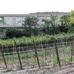 Casa MF By Raro Architettura - Sheet7