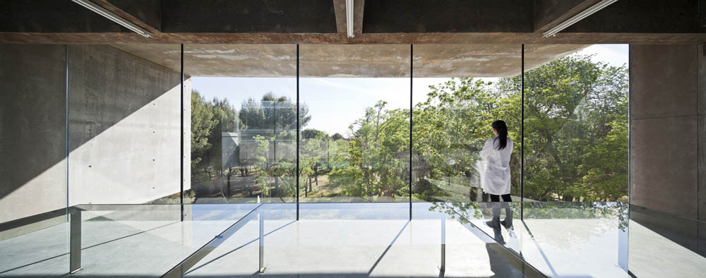 Faculty Of Cellular And Genetic Biology By Héctor Fernández Elorza - sheet 3