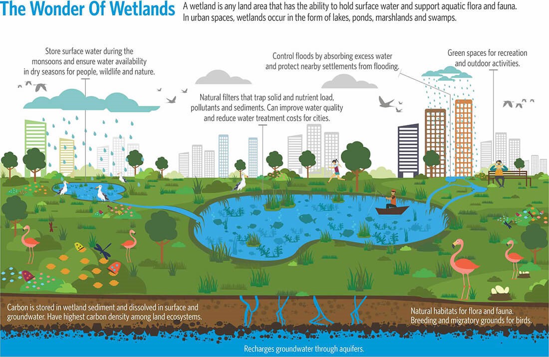 The Life of Waterbodies - Sheet6