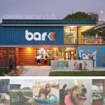 Bar-K: Canine Social Club By Clockwork - Sheet6