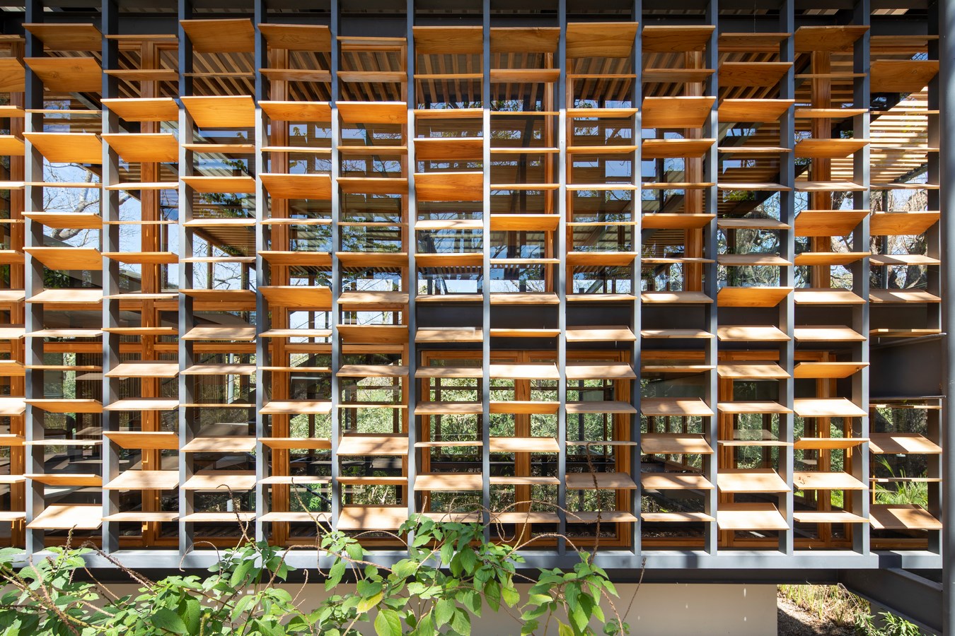 The Jungle Frame House by Studio Saxe - Sheet14