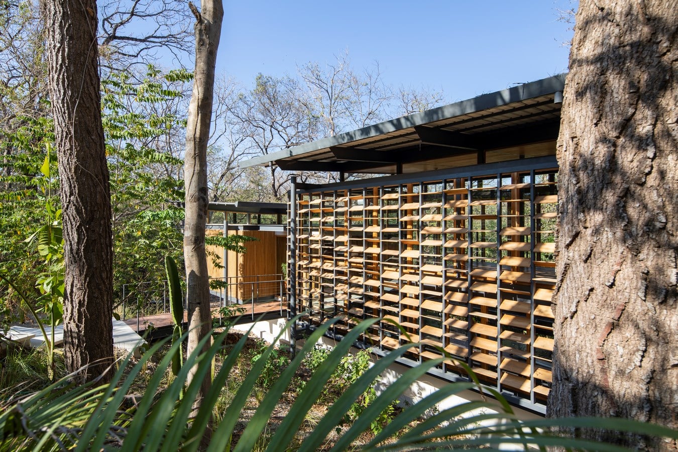 The Jungle Frame House by Studio Saxe - Sheet4