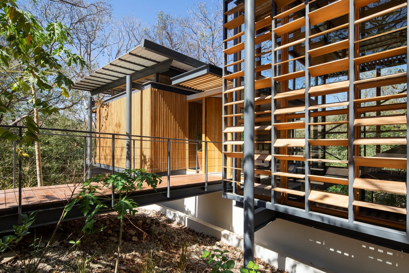 The Jungle Frame House by Studio Saxe - Sheet7