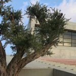 Saint-Charbel Church by BLANKPAGE Architects - Sheet8