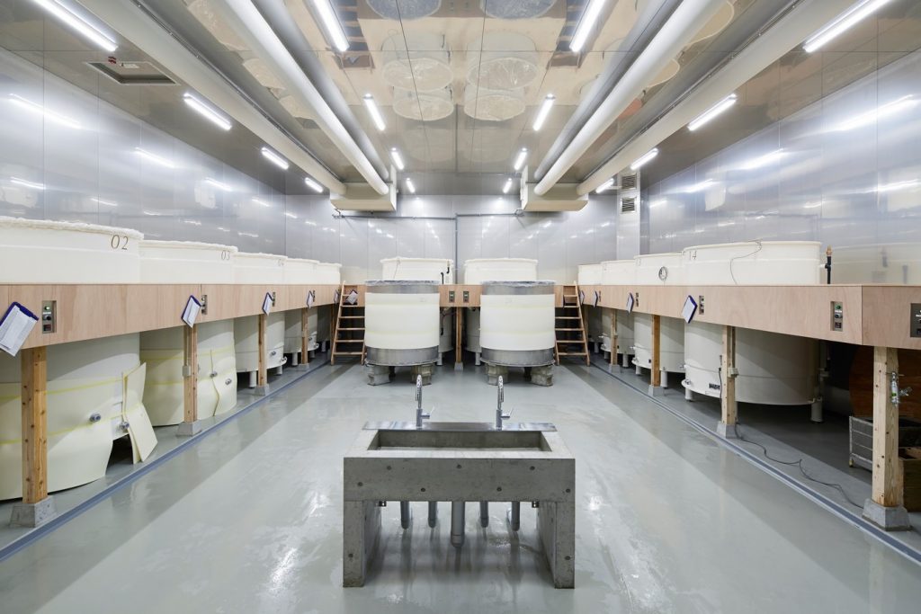 A Sake Brewery By a-um