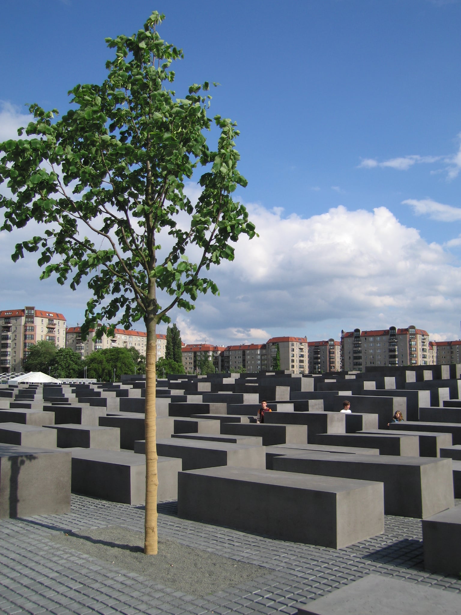 15 Works of Peter Eisenman Every Architect should visit - Memorial to the Murdered Jews of Europe, Germany