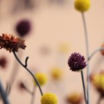 RONDE TCM CLINIC By FAN Art & Design - Sheet32