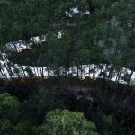 Garden Hotpot Restaurant By MUDA-Architects - Sheet2