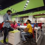 Roots Analysis By Studio Mohenjodaro