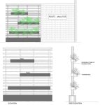 Roots Analysis By Studio Mohenjodaro