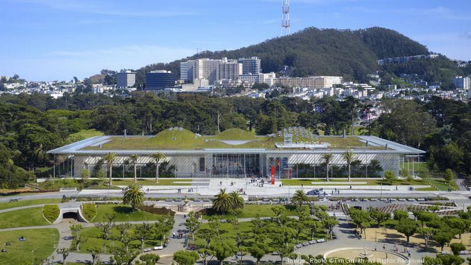 100 Best Architecture Projects of the 21st Century - California Academy of Sciences