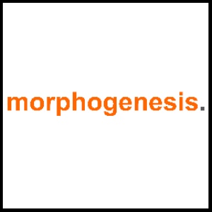 50 World Famous Architectural Logo - morphogenesis