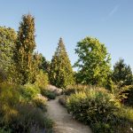 Bellevue Botanical Garden Visitor and Education Center by Olson Kundig - Sheet5