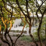 Bellevue Botanical Garden Visitor and Education Center by Olson Kundig - Sheet6