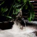 AROMA DREAM By DDDD Creative Studio - Sheet25