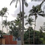 Villa in the Palms by Abraham John Architects - Sheet20